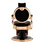 CAESAR+ GOLD - Image 2